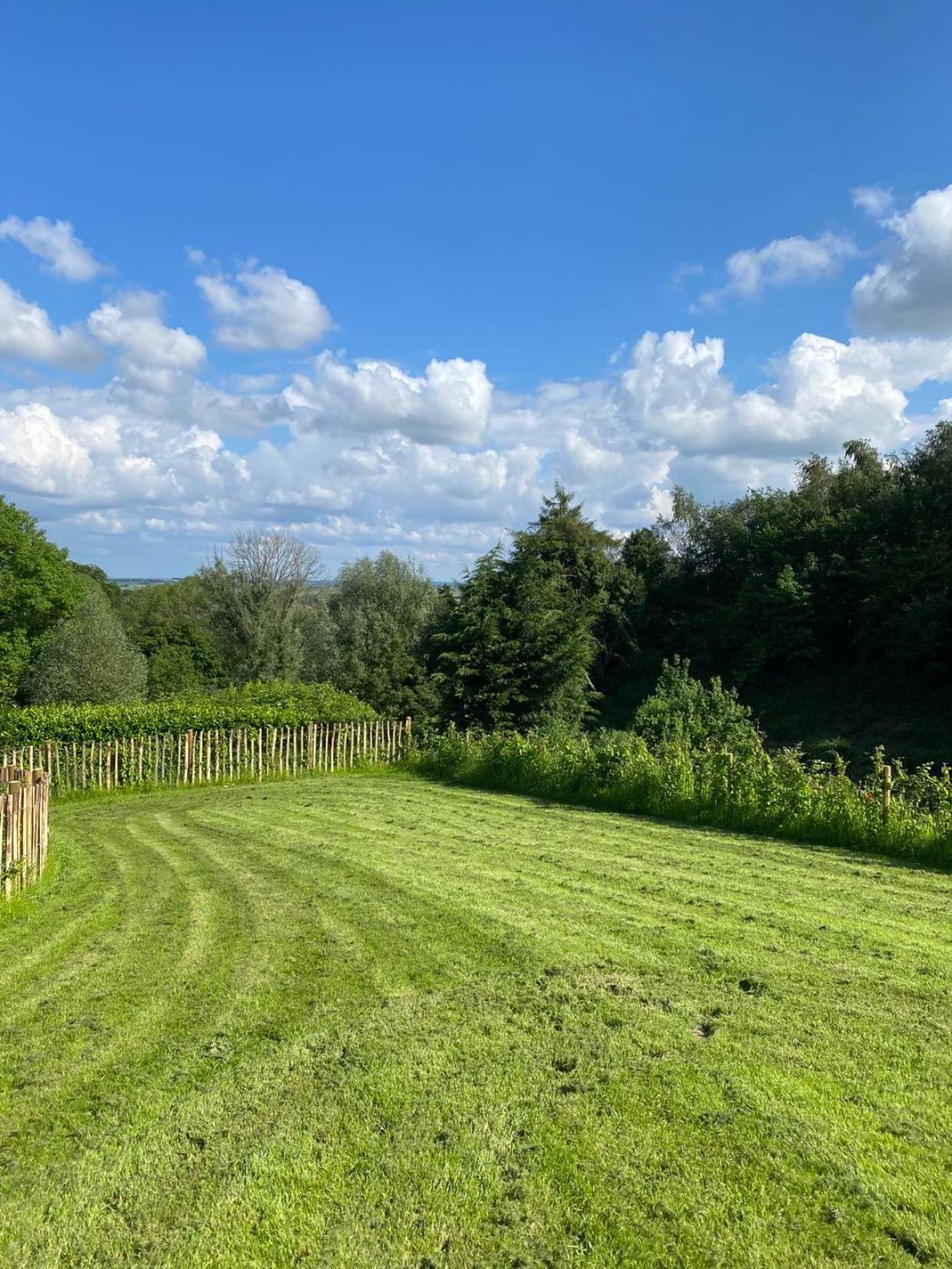 Vakantiedomein Douve * Heuvelland
